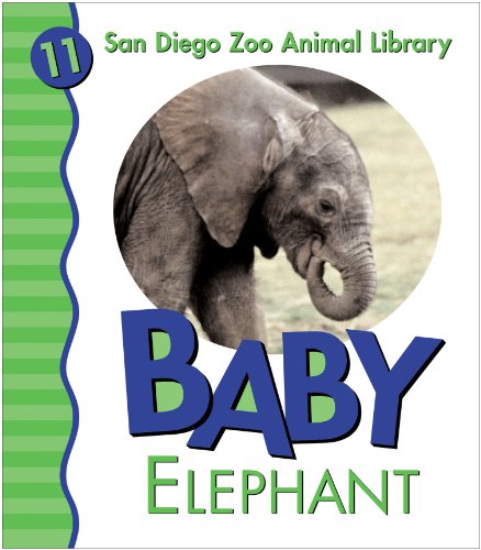 Baby Elephant (San Diego Zoo Animal Library, 11)