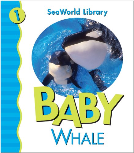 Baby Killer Whale San Diego Zoo (Seaworld Library)
