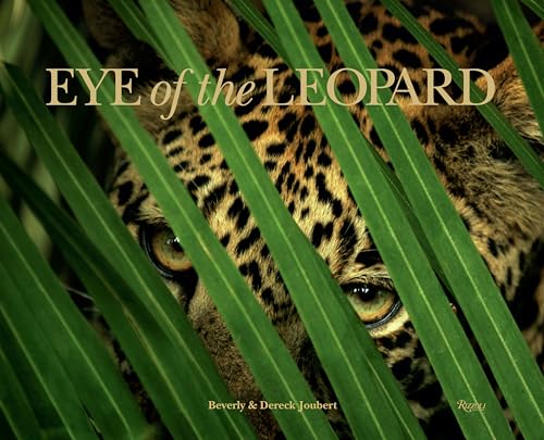 Eye of the Leopard