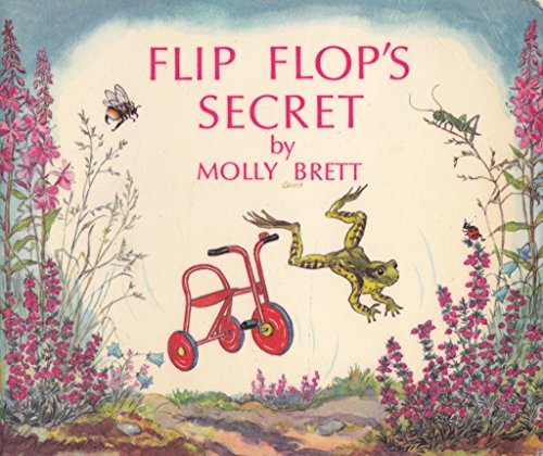 Flip Flop's Secret