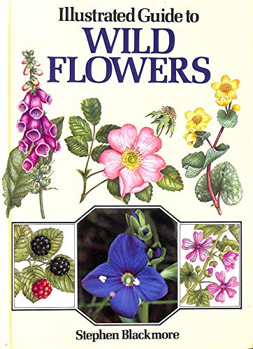 Illustrated Guide To Wild Flowers.