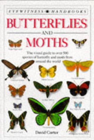 Butterflies and Moths (Eyewitness Handbooks)
