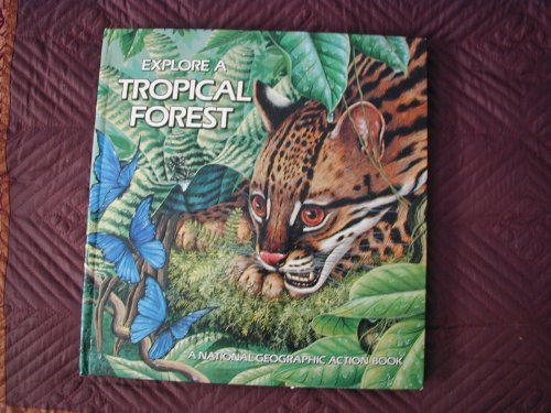 Explore a Tropical Forest, Pop-up Book