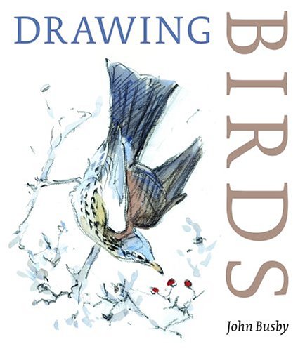 Drawing Birds