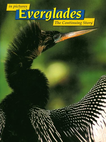 in Pictures Everglades: The Continuing Story