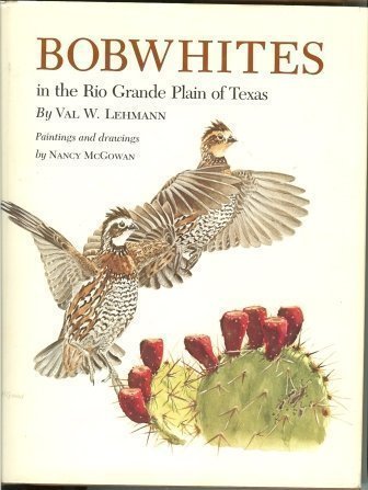 Bobwhites in the Rio Grande Plain of Texas