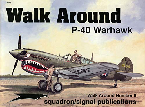 P-40 Warhawk - Walk Around No. 8