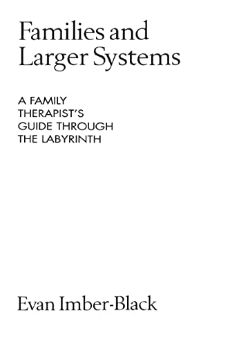 Families and Larger Systems: A Family Therapist's Guide Through the Labyrinth (The Guilford Family Therapy Series)