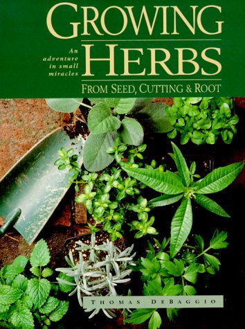 Growing Herbs from Seed, Cutting and Roots: An Adventure in Small Miracles