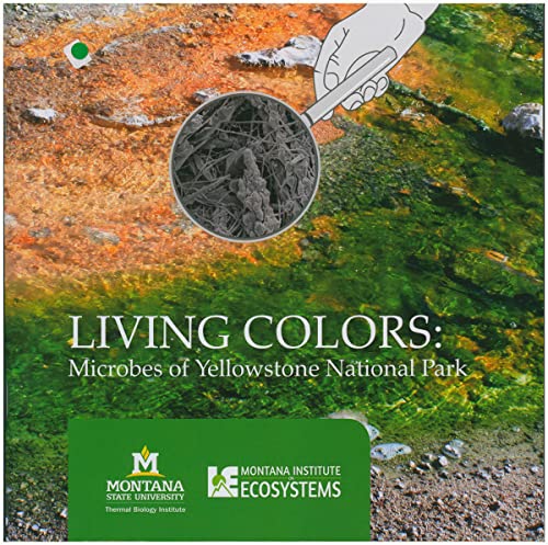 Living Colors: Microbes of Yellowstone National Park