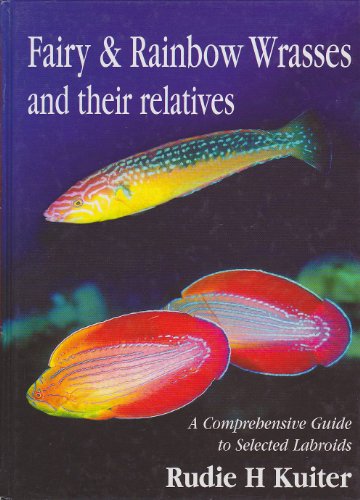 Fairy and Rainbow Wrasses: A Comprehensive Guide to Selected Labroids