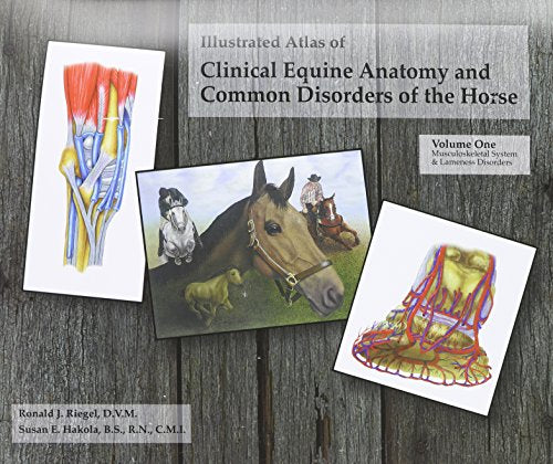Illustrated Atlas of Clinical Equine Anatomy and Common Disorders of the Horse