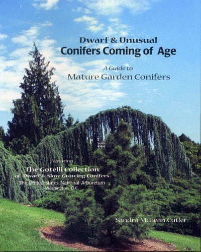 Dwarf & Unusual Conifers Coming of Age: A Guide to Mature Garden Conifers