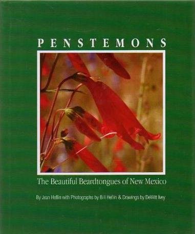 Penstemons: The Beautiful Beardtongues of New Mexico