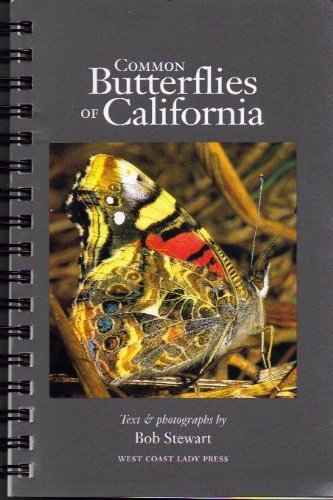 Common Butterflies of California