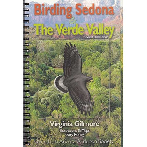 Birding Sedona & The Verde Valley