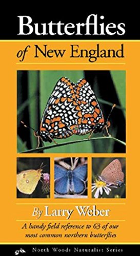 Butterflies of New England (Naturalist Series)