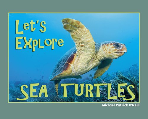 Let's Explore Sea Turtles