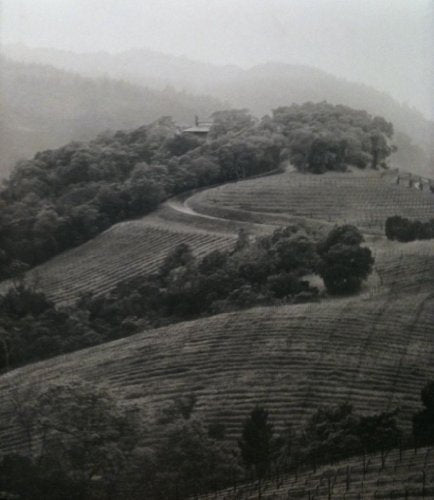 Observations From the Hillside