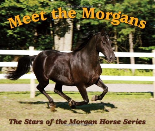 Meet the Morgans: The Stars of the Morgan Horse