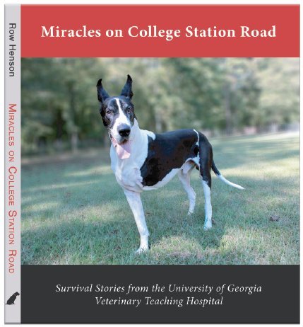 Miracles On College Station Road