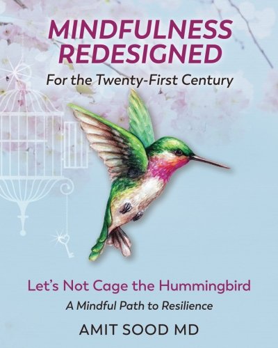 Mindfulness Redesigned for the Twenty-First Century: Let's Not Cage the Hummingbird A Mindful Path to Resilience