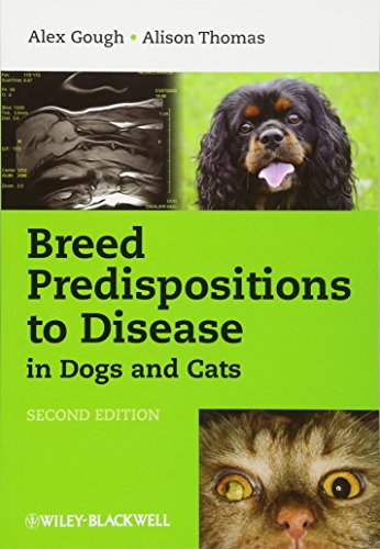 No Image Available
