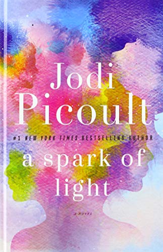A Spark of Light (Thorndike Press Large Print Basic)