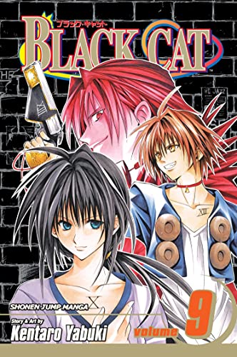 Black Cat, Vol. 9