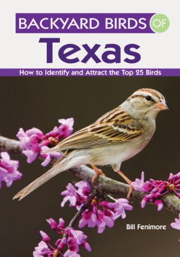 Backyard Birds of Texas: How to Identify and Attract the Top 25 Birds