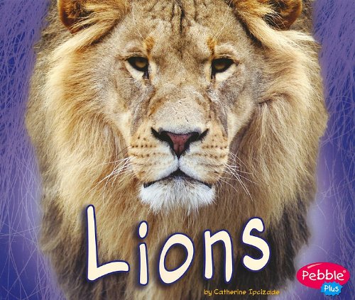 Lions (Pebble Plus: African Animals)
