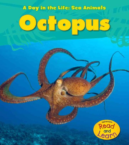 Octopus (A Day in the Life: Sea Animals)
