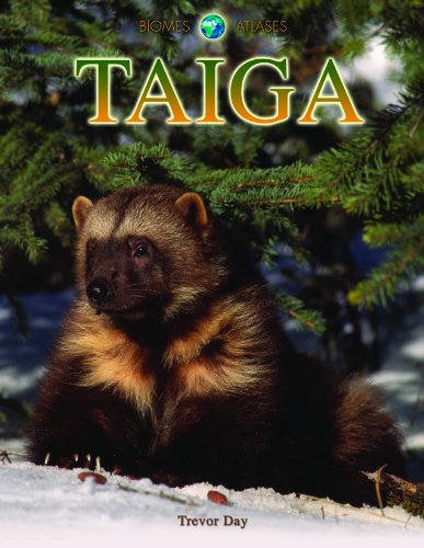 No Image Available