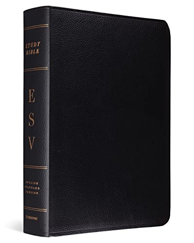 No Image Available