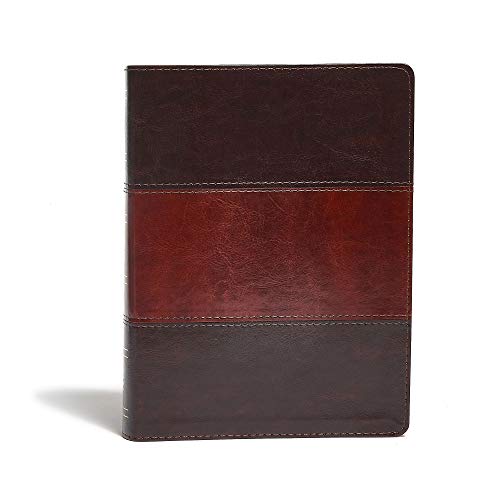 KJV Study Bible, Saddle Brown LeatherTouch Indexed