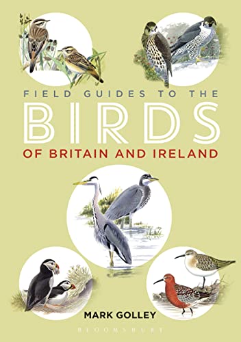 No Image Available