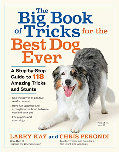 No Image Available