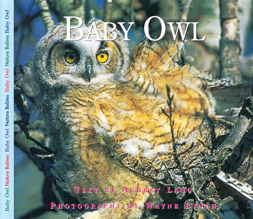 Baby Owl (Nature Babies)