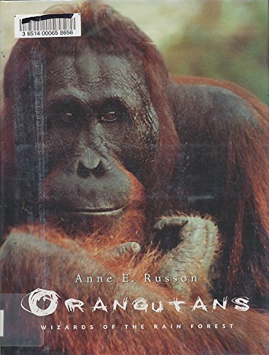 Orangutans: Wizards of the Rain Forest