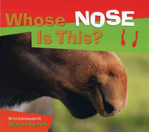 No Image Available