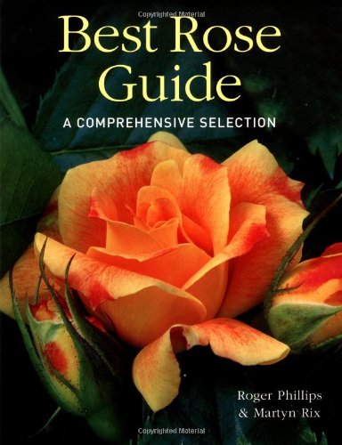 Best Rose Guide: A Comprehensive Selection