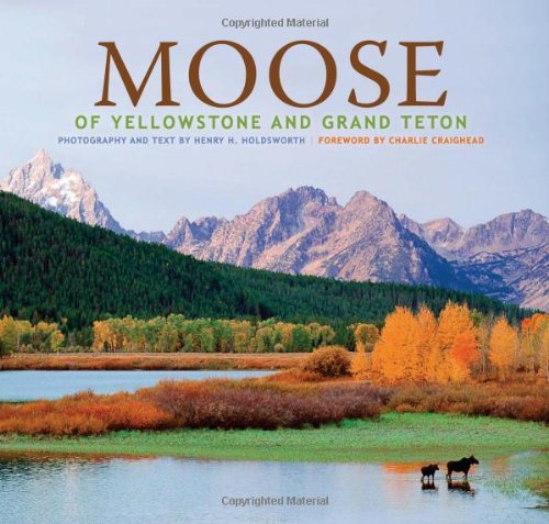 Moose of Yellowstone and Grand Teton