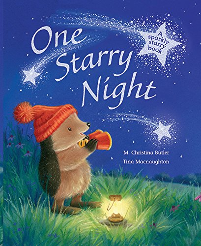 One Starry Night: A Sparkly Starry Book
