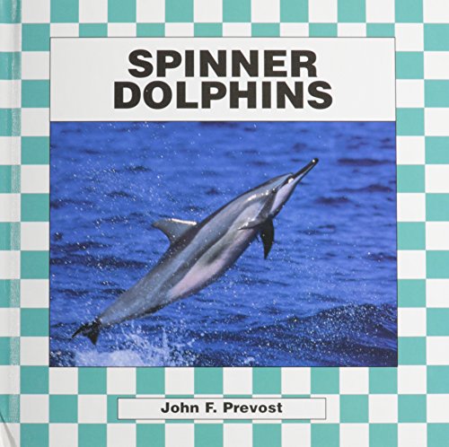 Spinner Dolphins
