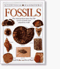 Fossils (DK Handbooks)