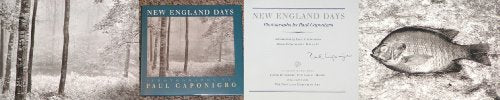 New England Days (An Imago Mundi Book)