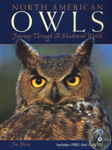 North American Owls: Journey Through a Shadowed World
