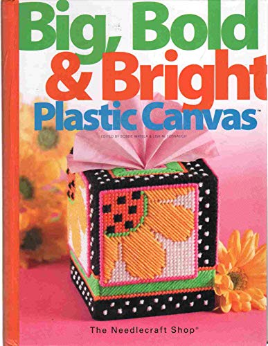 Big, Bold & Bright Plastic Canvas