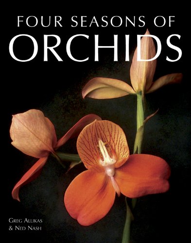 Four Seasons of Orchids