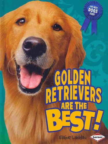 Golden Retrievers Are the Best! (The Best Dogs Ever)